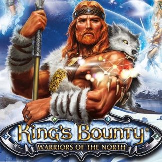 King's Bounty: Warriors of the North PC Steam CD Key