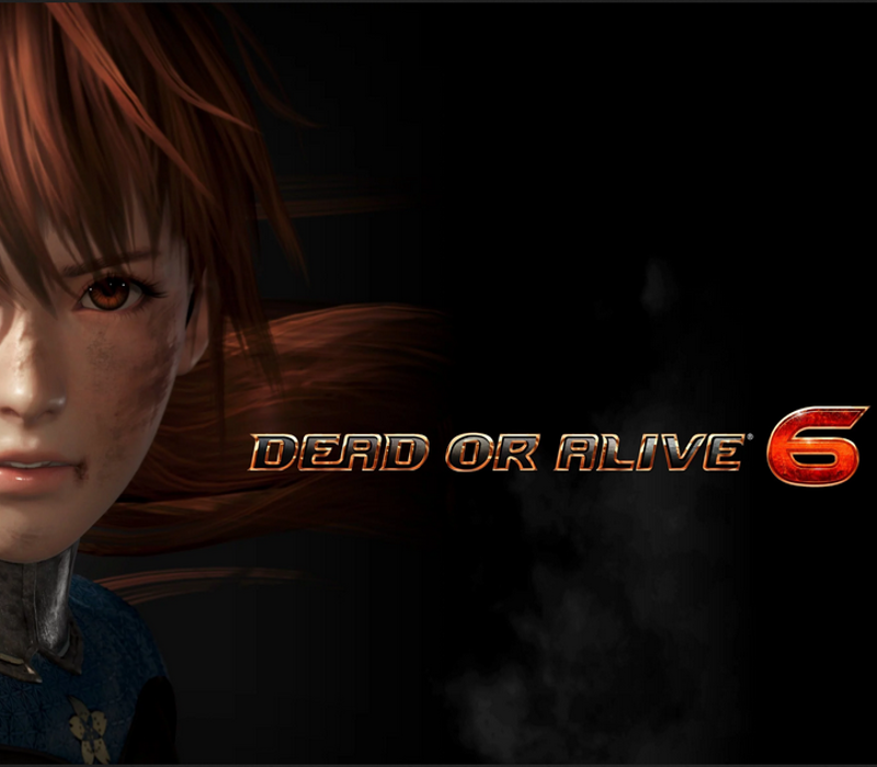 DEAD OR ALIVE 6 PC Steam CD Key
