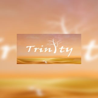 Trinity Steam CD Key
