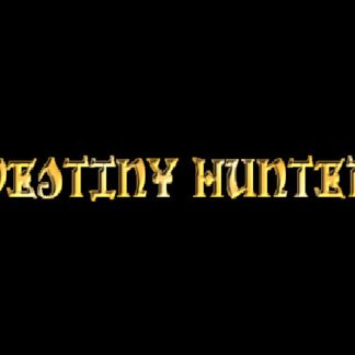 Destiny Hunter Steam CD Key