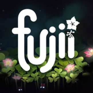 Fujii VR PC Steam CD Key