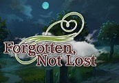 Forgotten, Not Lost - A Kinetic Novel PC Steam CD Key
