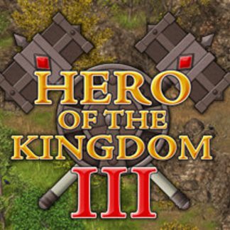 Hero of the Kingdom III Steam CD Key