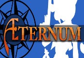 Aeternum PC Steam CD Key