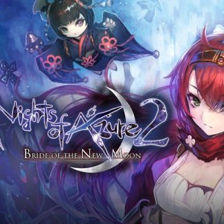 Nights of Azure 2: Bride of the New Moon PC Steam CD Key