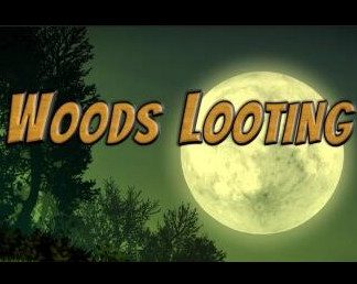 Woods Looting Steam CD Key