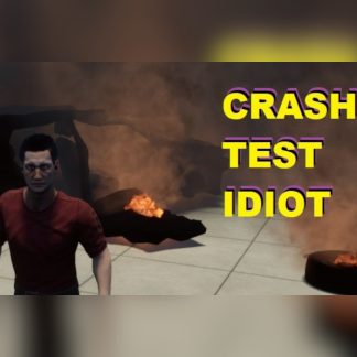 CRASH TEST IDIOT Steam CD Key