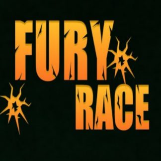 Fury Race Steam CD Key