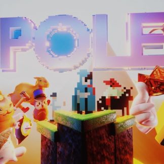POLE Steam CD Key