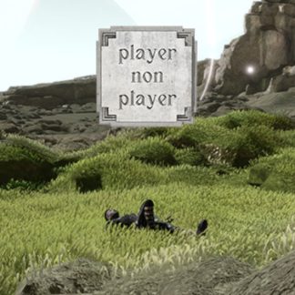 Player Non Player Steam CD Key
