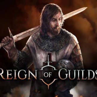 Reign of Guilds PC Steam CD Key