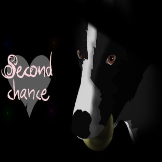 Second Chance Steam CD Key