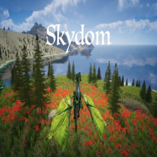 Skydom Steam CD Key