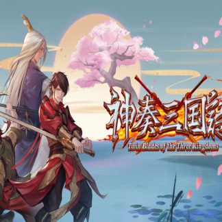 Twin Blades of the Three Kingdoms Steam CD Key