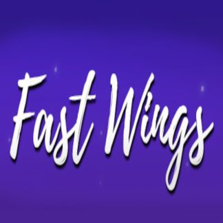 Fast Wings Steam CD Key
