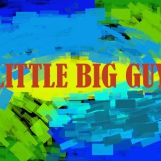 Little Big Guy Steam CD Key
