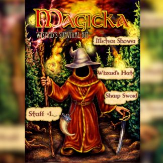 Magicka - Wizard's Survival Kit DLC Steam CD Key