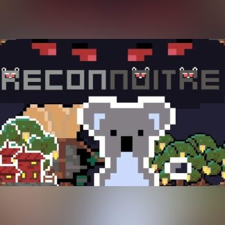 Reconnoitre Steam CD Key