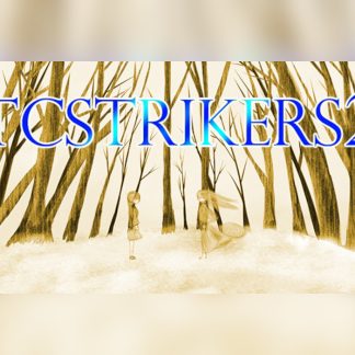 TCSTRIKERS2 Steam CD Key