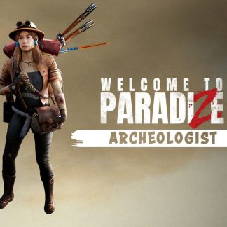 Welcome to ParadiZe - Archeology Quest DLC Steam CD Key