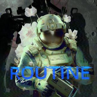 Routine PC Steam CD Key