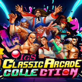 IGS Classic Arcade Collection PC Steam CD Key