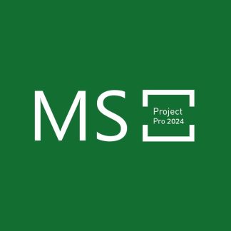 MS Project Professional 2024 Bind Key